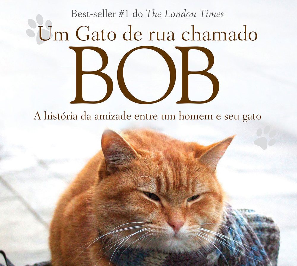 Pitacos #6: Um gato de rua chamado Bob